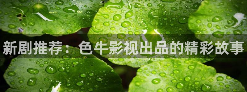 浮力影院第一页国产：新剧推荐：色牛影视出品的精彩故事
