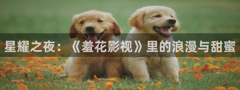 国产浮力影院草草：星耀之夜：《羞花影视》里的浪漫与甜蜜