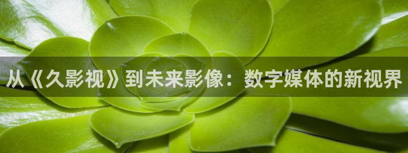 5177tv浮力影院：从《久影视》到未来影像：数字媒体的新视界