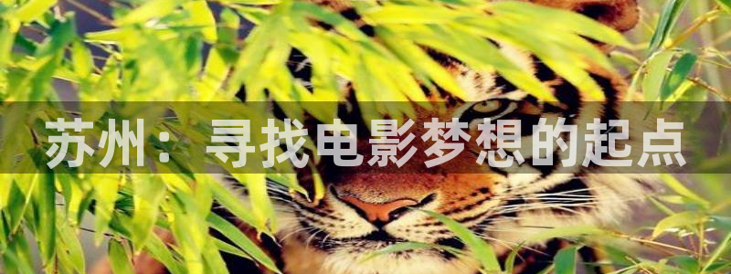 无限资源浮力影院：苏州：寻找电影梦想的起点