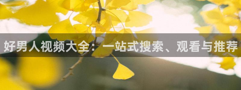 浮力影院一区二区：好男人视频大全：一站式搜索、观看与推荐