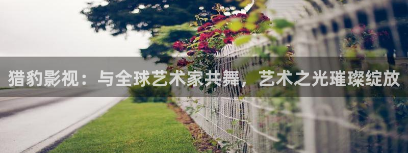 浮力草草影院地址：猎豹影视：与全球艺术家共舞，艺术之光璀璨绽放
