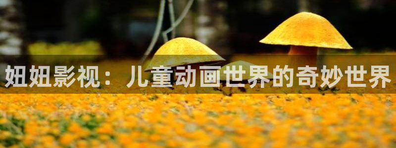 国产浮力影院在线：妞妞影视：儿童动画世界的奇妙世界