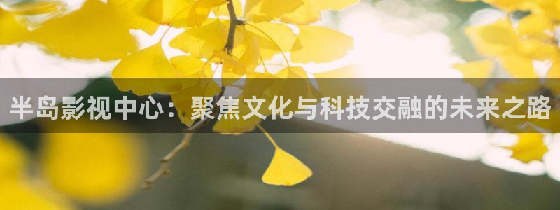 浮力最新影院：半岛影视中心：聚焦文化与科技交融的未来之路