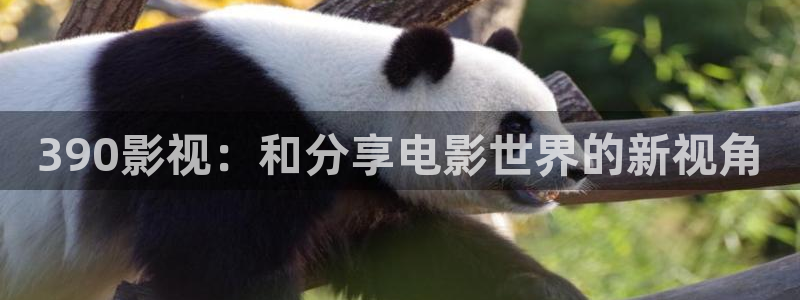 浮力影院国产线路一：390影视：和分享电影世界的新视角