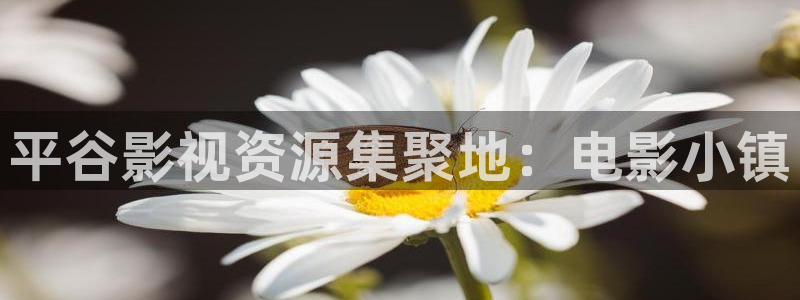 浮力影院色：平谷影视资源集聚地：电影小镇